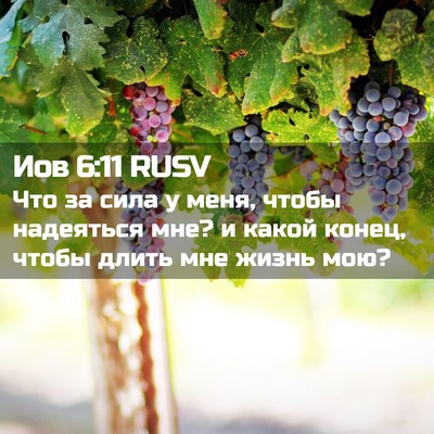 Picture 02 - Иов 6:11 RUSV - Что за сила у меня, чтобы - Bible Verse Picture