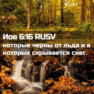 Picture 02 - Иов 6:16 RUSV - которые черны от льда и в - Bible Verse Picture