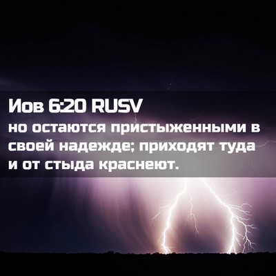 Picture 02 - Иов 6:20 RUSV - но остаются пристыженными - Bible Verse Picture