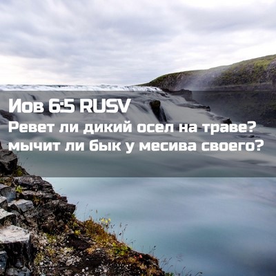 Picture 02 - Иов 6:5 RUSV - Ревет ли дикий осел на - Bible Verse Picture
