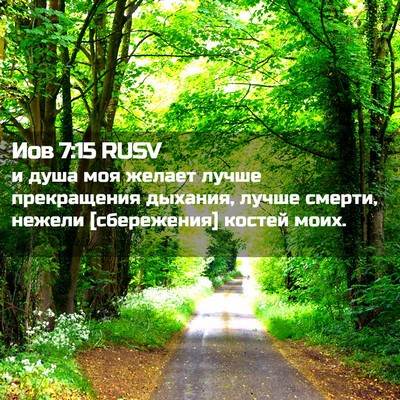 Picture 02 - Иов 7:15 RUSV - и душа моя желает лучше - Bible Verse Picture
