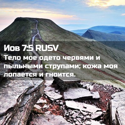 Picture 02 - Иов 7:5 RUSV - Тело мое одето червями и - Bible Verse Picture