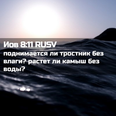 Picture 02 - Иов 8:11 RUSV - поднимается ли тростник - Bible Verse Picture