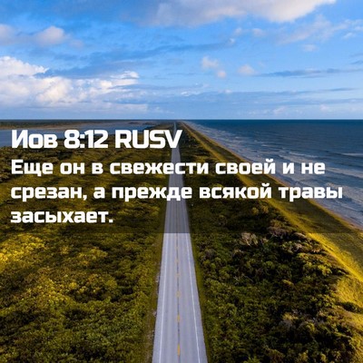 Picture 02 - Иов 8:12 RUSV - Еще он в свежести своей и - Bible Verse Picture