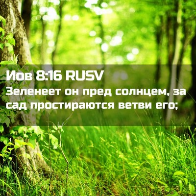 Picture 02 - Иов 8:16 RUSV - Зеленеет он пред солнцем, - Bible Verse Picture