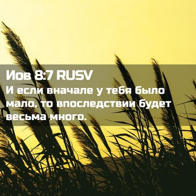 Picture 02 - Иов 8:7 RUSV - И если вначале у тебя было - Bible Verse Picture