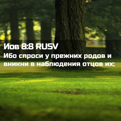 Picture 02 - Иов 8:8 RUSV - Ибо спроси у прежних родов - Bible Verse Picture