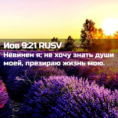 Picture 02 - Иов 9:21 RUSV - Невинен я; не хочу знать - Bible Verse Picture
