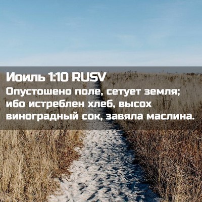 Picture 02 - Иоиль 1:10 RUSV - Опустошено поле, сетует - Bible Verse Picture