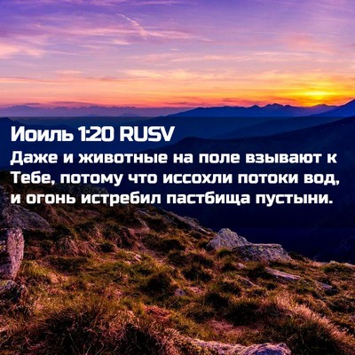 Picture 02 - Иоиль 1:20 RUSV - Даже и животные на поле - Bible Verse Picture