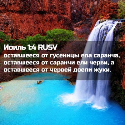 Picture 02 - Иоиль 1:4 RUSV - оставшееся от гусеницы ела - Bible Verse Picture