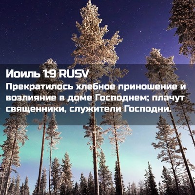 Picture 02 - Иоиль 1:9 RUSV - Прекратилось хлебное - Bible Verse Picture