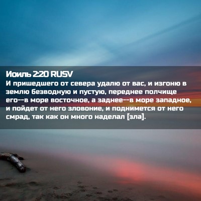 Picture 02 - Иоиль 2:20 RUSV - И пришедшего от севера - Bible Verse Picture
