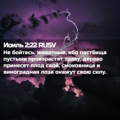 Picture 02 - Иоиль 2:22 RUSV - Не бойтесь, животные, ибо - Bible Verse Picture