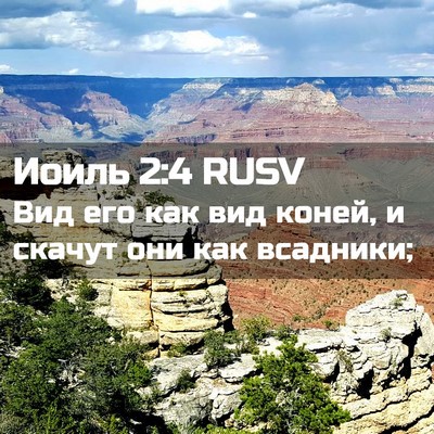 Picture 02 - Иоиль 2:4 RUSV - Вид его как вид коней, и - Bible Verse Picture