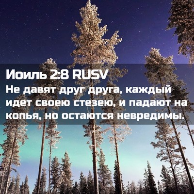 Picture 02 - Иоиль 2:8 RUSV - Не давят друг друга, каждый - Bible Verse Picture