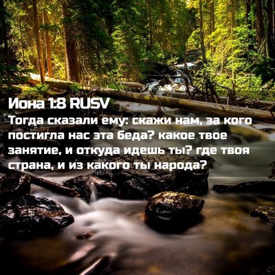 Picture 02 - Иона 1:8 RUSV - Тогда сказали ему: скажи - Bible Verse Picture