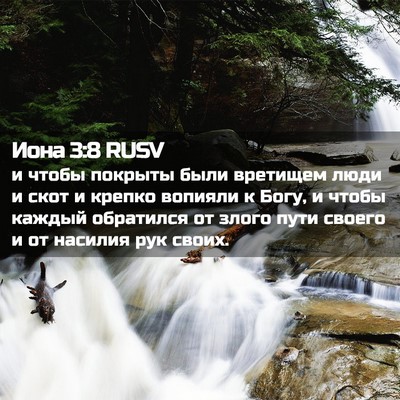 Picture 02 - Иона 3:8 RUSV - и чтобы покрыты были - Bible Verse Picture