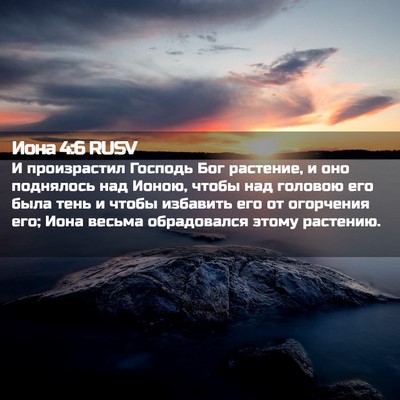 Picture 02 - Иона 4:6 RUSV - И произрастил Господь Бог - Bible Verse Picture