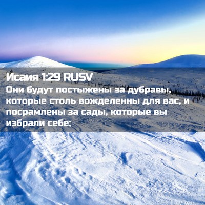 Picture 02 - Исаия 1:29 RUSV - Они будут постыжены за - Bible Verse Picture