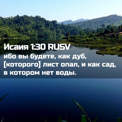Picture 02 - Исаия 1:30 RUSV - ибо вы будете, как дуб, - Bible Verse Picture