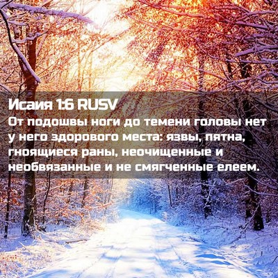 Picture 02 - Исаия 1:6 RUSV - От подошвы ноги до темени - Bible Verse Picture