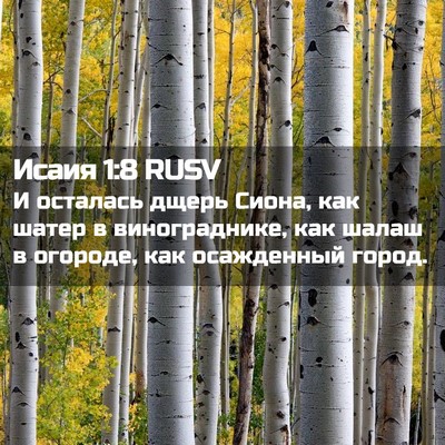 Picture 02 - Исаия 1:8 RUSV - И осталась дщерь Сиона, как - Bible Verse Picture