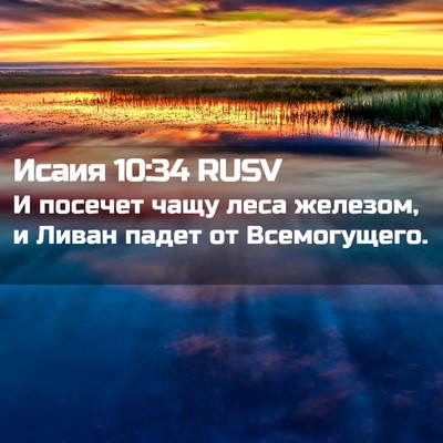 Picture 02 - Исаия 10:34 RUSV - И посечет чащу леса - Bible Verse Picture