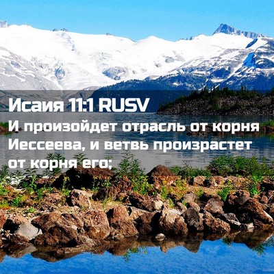Picture 02 - Исаия 11:1 RUSV - И произойдет отрасль от - Bible Verse Picture