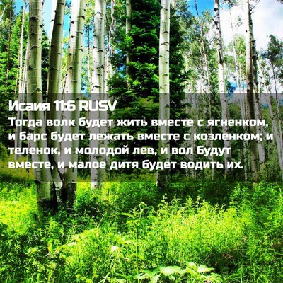 Picture 02 - Исаия 11:6 RUSV - Тогда волк будет жить - Bible Verse Picture
