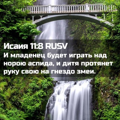 Picture 02 - Исаия 11:8 RUSV - И младенец будет играть - Bible Verse Picture