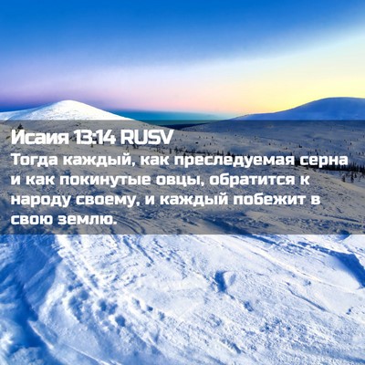 Picture 02 - Исаия 13:14 RUSV - Тогда каждый, как - Bible Verse Picture