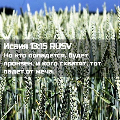 Picture 02 - Исаия 13:15 RUSV - Но кто попадется, будет - Bible Verse Picture