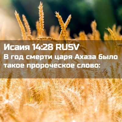 Picture 02 - Исаия 14:28 RUSV - В год смерти царя Ахаза - Bible Verse Picture