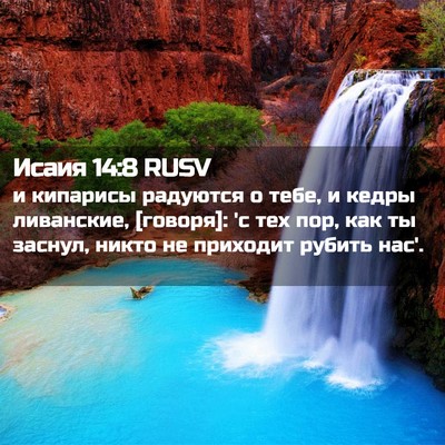 Picture 02 - Исаия 14:8 RUSV - и кипарисы радуются о тебе, - Bible Verse Picture