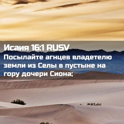 Picture 02 - Исаия 16:1 RUSV - Посылайте агнцев - Bible Verse Picture