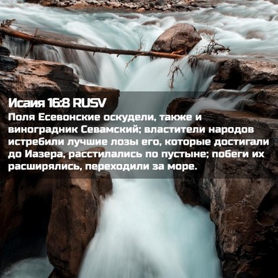 Picture 02 - Исаия 16:8 RUSV - Поля Есевонские оскудели, - Bible Verse Picture