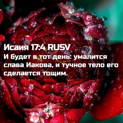 Picture 02 - Исаия 17:4 RUSV - И будет в тот день: - Bible Verse Picture