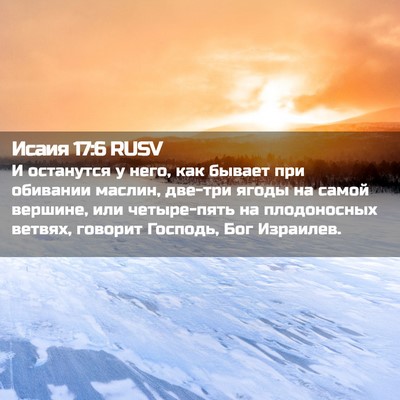 Picture 02 - Исаия 17:6 RUSV - И останутся у него, как - Bible Verse Picture