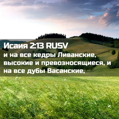 Picture 02 - Исаия 2:13 RUSV - и на все кедры Ливанские, - Bible Verse Picture