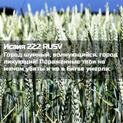 Picture 02 - Исаия 22:2 RUSV - Город шумный, волнующийся, - Bible Verse Picture