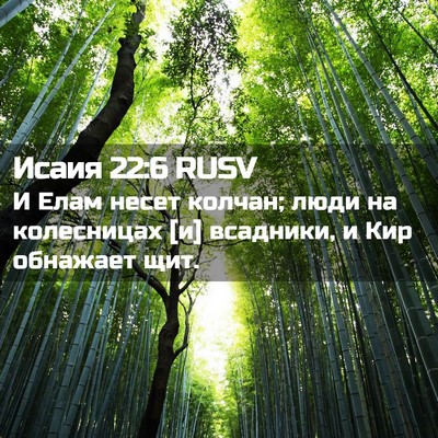 Picture 02 - Исаия 22:6 RUSV - И Елам несет колчан; люди - Bible Verse Picture