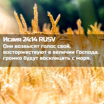 Picture 02 - Исаия 24:14 RUSV - Они возвысят голос свой, - Bible Verse Picture