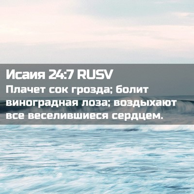 Picture 02 - Исаия 24:7 RUSV - Плачет сок грозда; болит - Bible Verse Picture