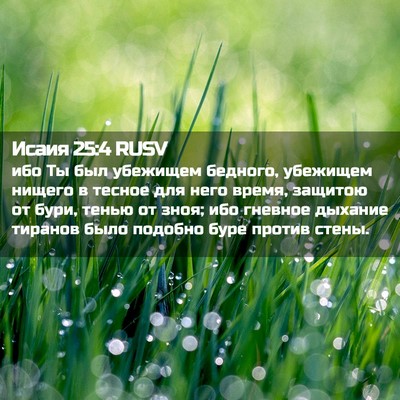 Picture 02 - Исаия 25:4 RUSV - ибо Ты был убежищем - Bible Verse Picture