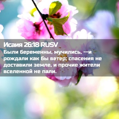 Picture 02 - Исаия 26:18 RUSV - Были беременны, мучились, - Bible Verse Picture