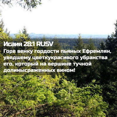 Picture 02 - Исаия 28:1 RUSV - Горе венку гордости пьяных - Bible Verse Picture