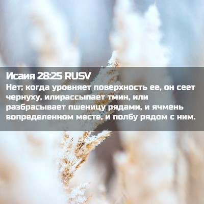 Picture 02 - Исаия 28:25 RUSV - Нет; когда уровняет - Bible Verse Picture