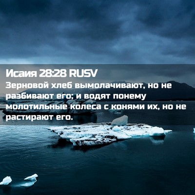 Picture 02 - Исаия 28:28 RUSV - Зерновой хлеб - Bible Verse Picture