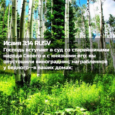 Picture 02 - Исаия 3:14 RUSV - Господь вступает в суд со - Bible Verse Picture